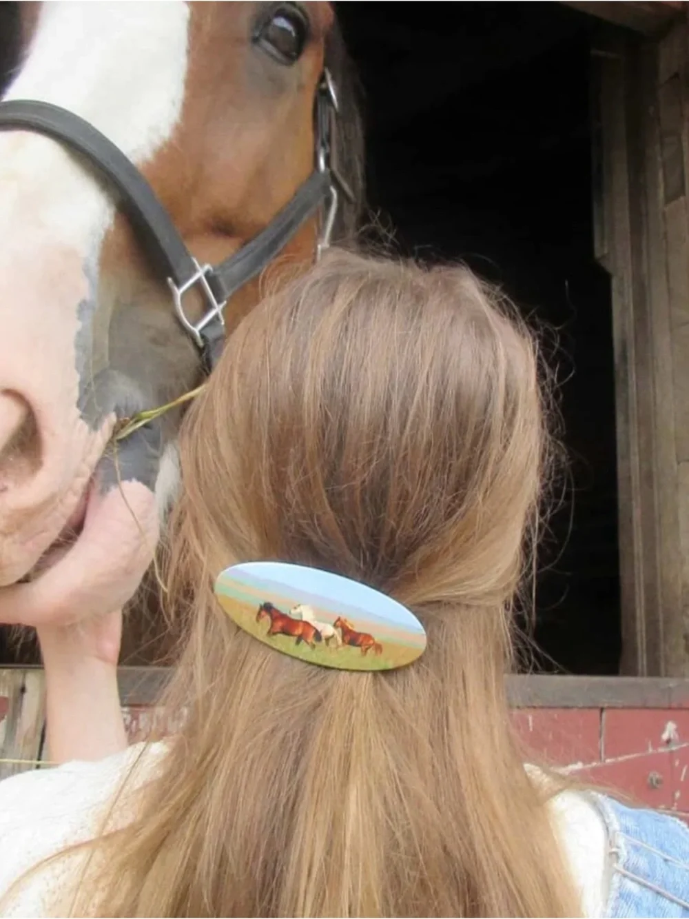 Chunks Horse Print Oval Hair Barrette - Brown, White, Green, Blue